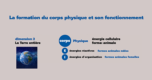 corps_physique